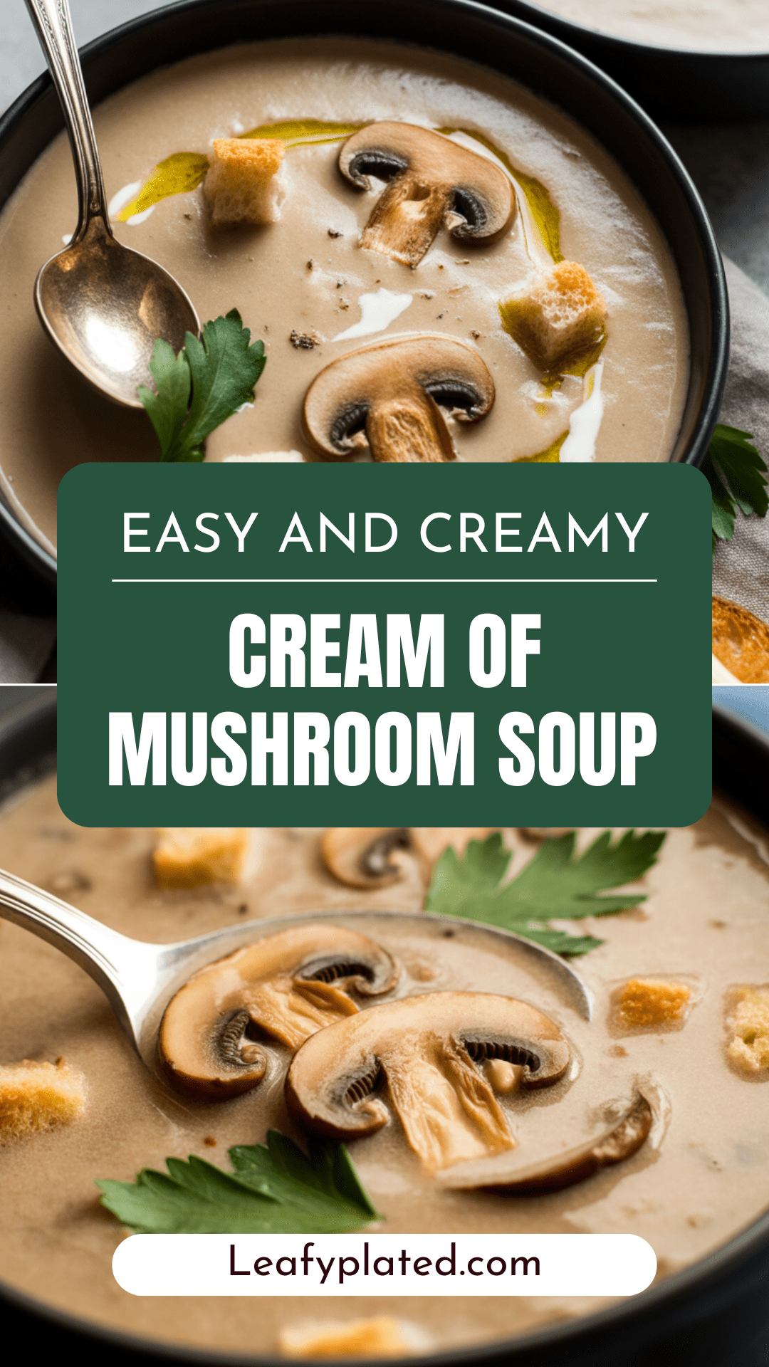 Cream of Mushroom Soup Cream of Mushroom Soup