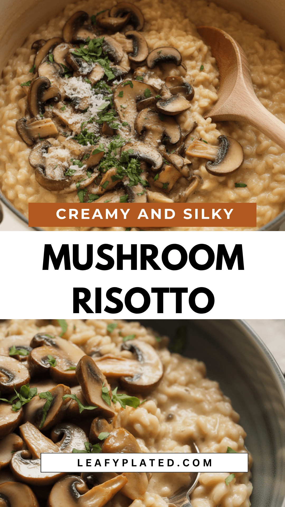 Mushroom Risotto Mushroom Risotto