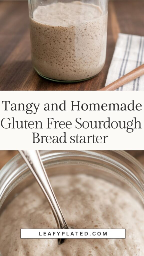 Gluten Free Sourdough Bread starter
